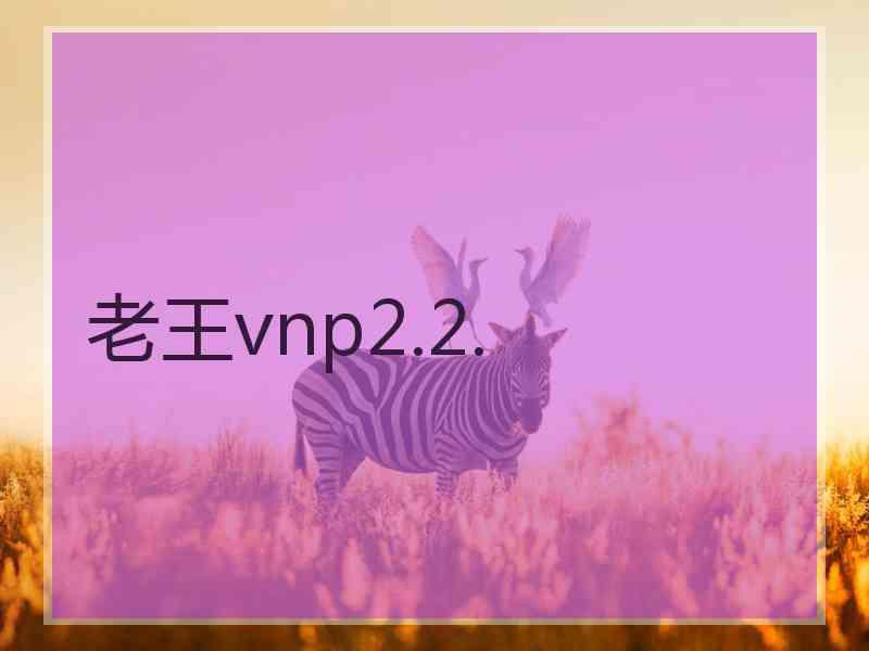 老王vnp2.2.