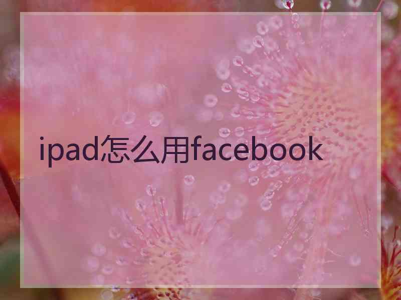 ipad怎么用facebook