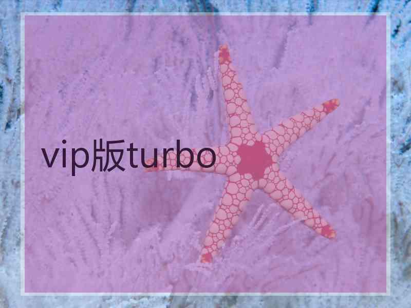 vip版turbo