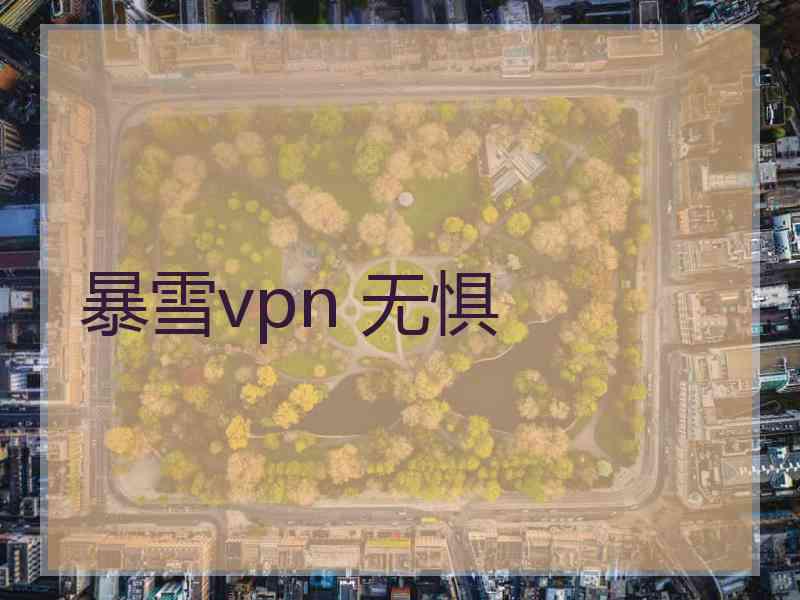 暴雪vpn 无惧