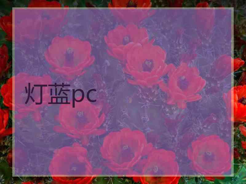 灯蓝pc