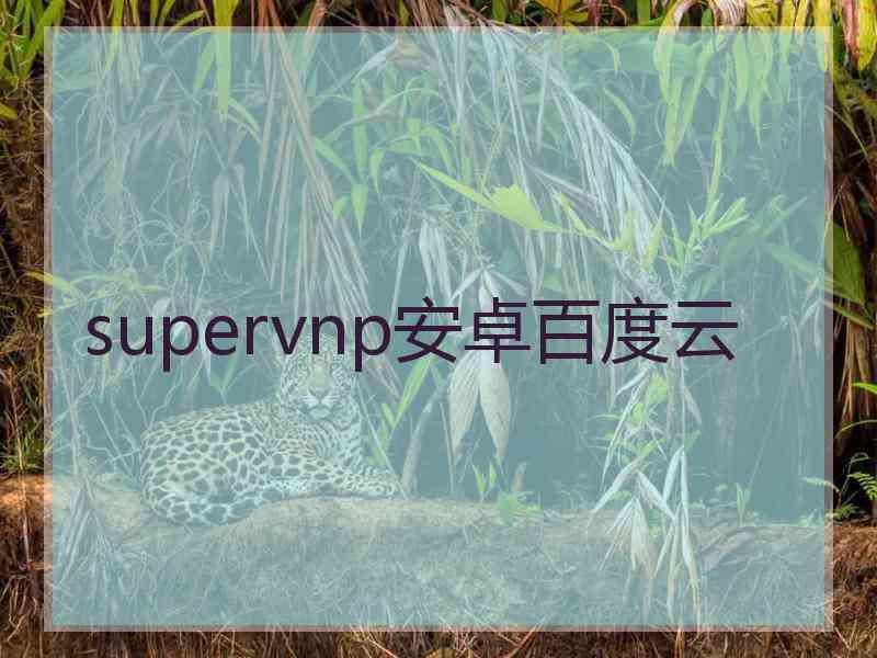 supervnp安卓百度云