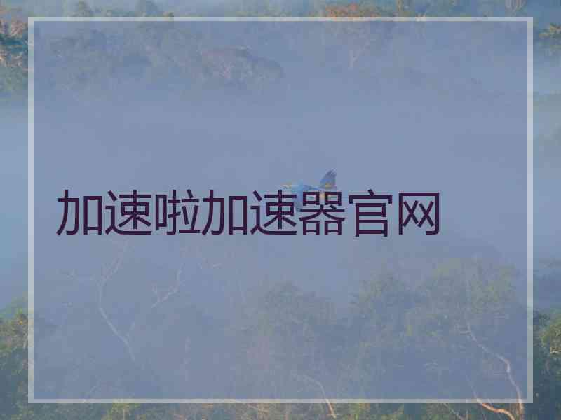 加速啦加速器官网