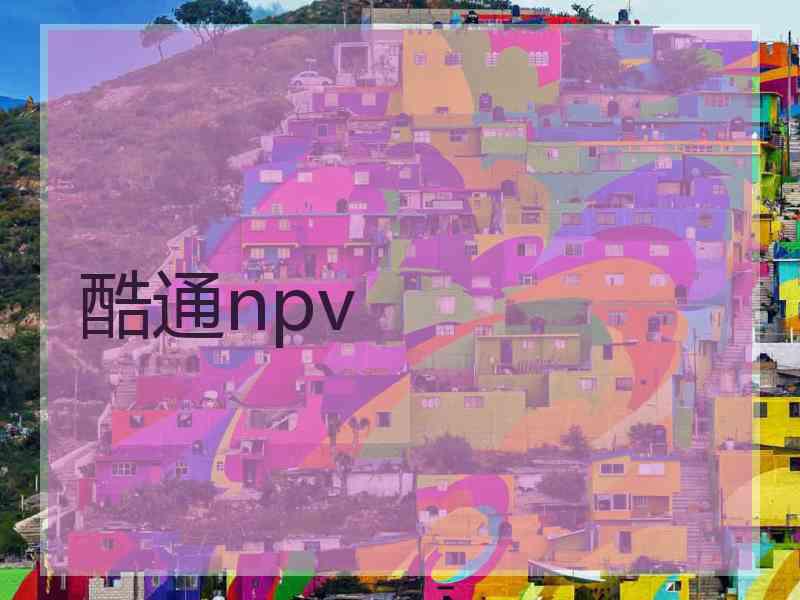 酷通npv