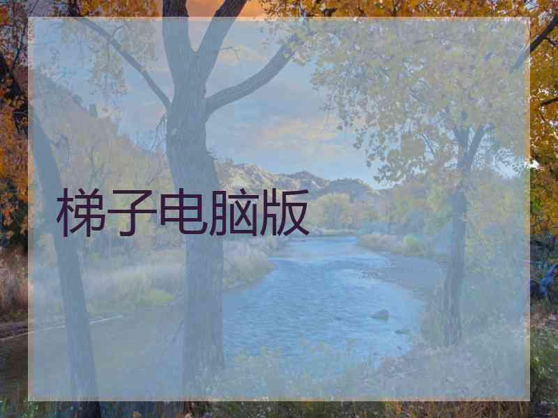 梯子电脑版