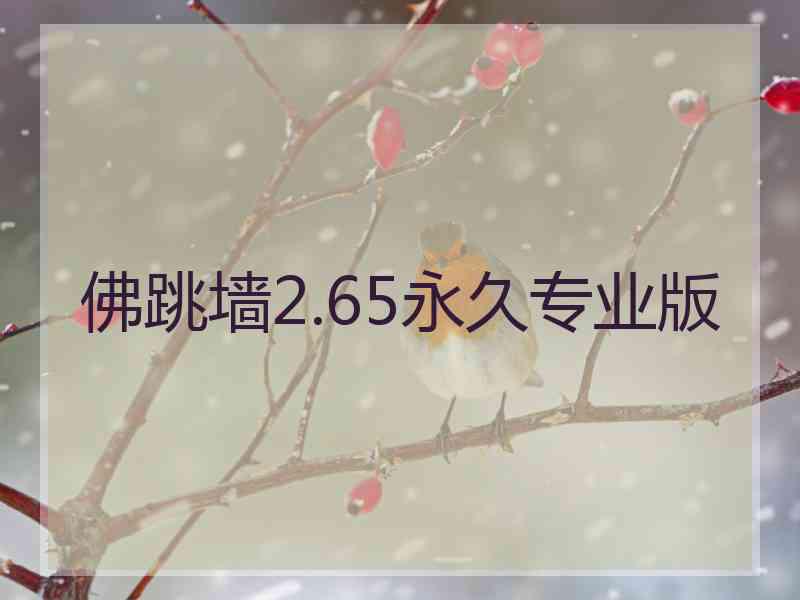 佛跳墙2.65永久专业版