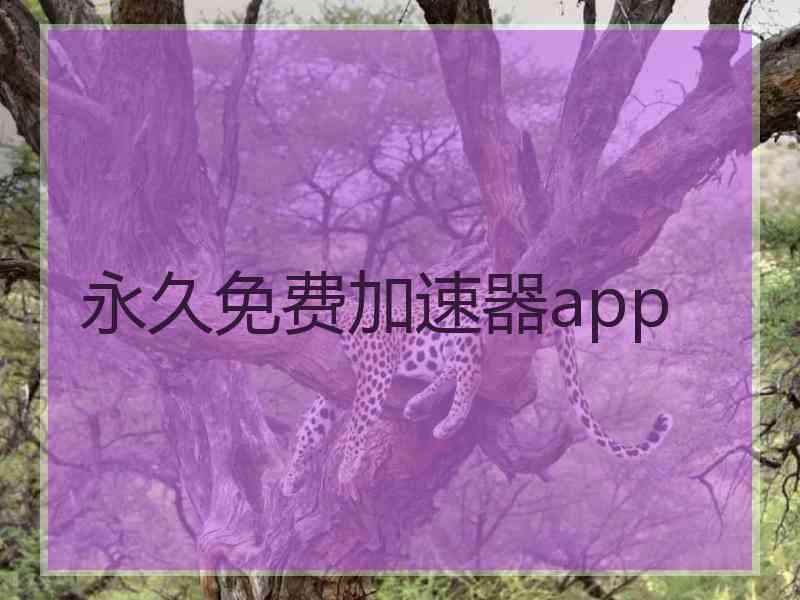 永久免费加速器app