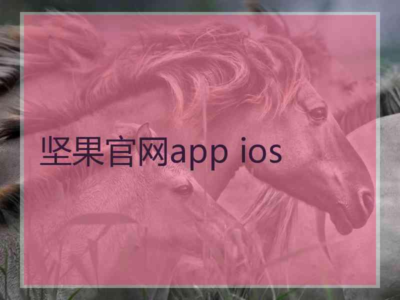 坚果官网app ios