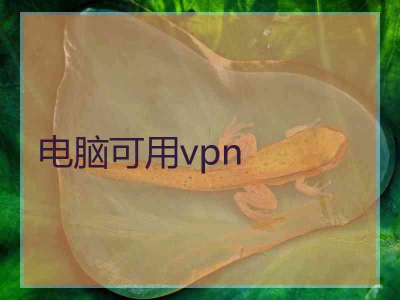 电脑可用vpn