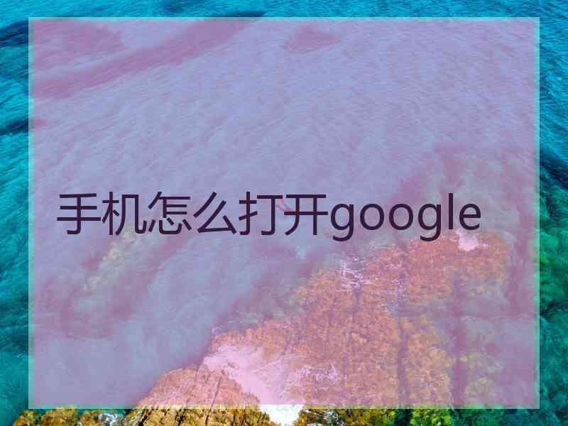 手机怎么打开google