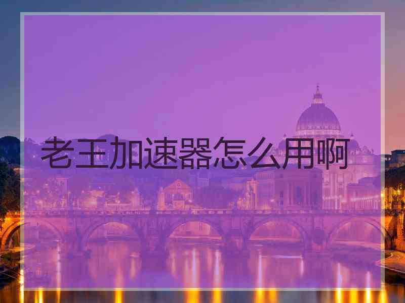 老王加速器怎么用啊