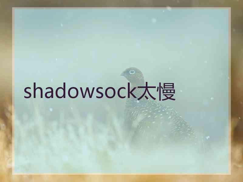 shadowsock太慢