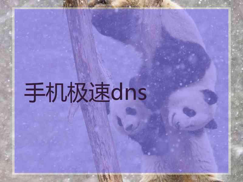 手机极速dns