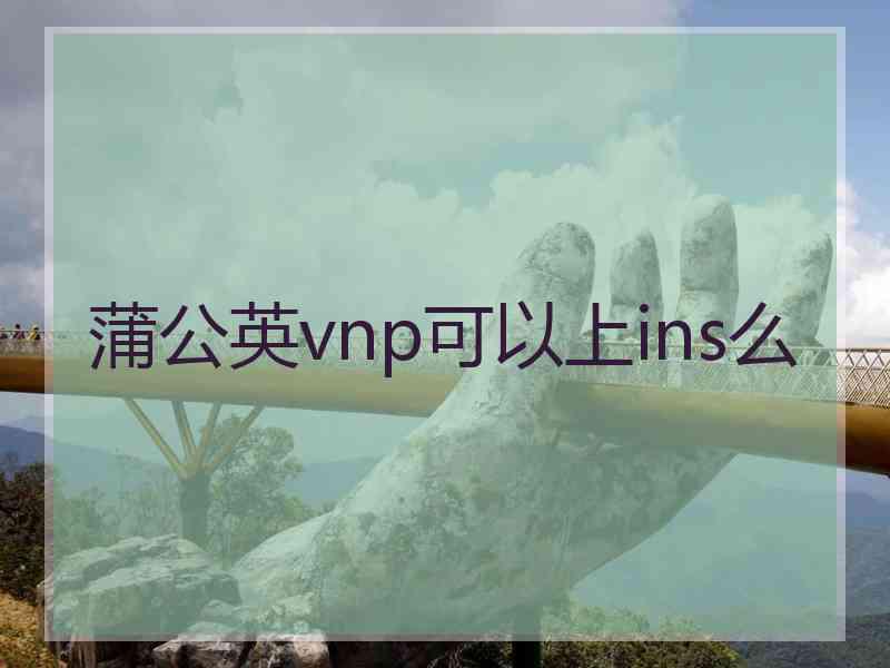 蒲公英vnp可以上ins么