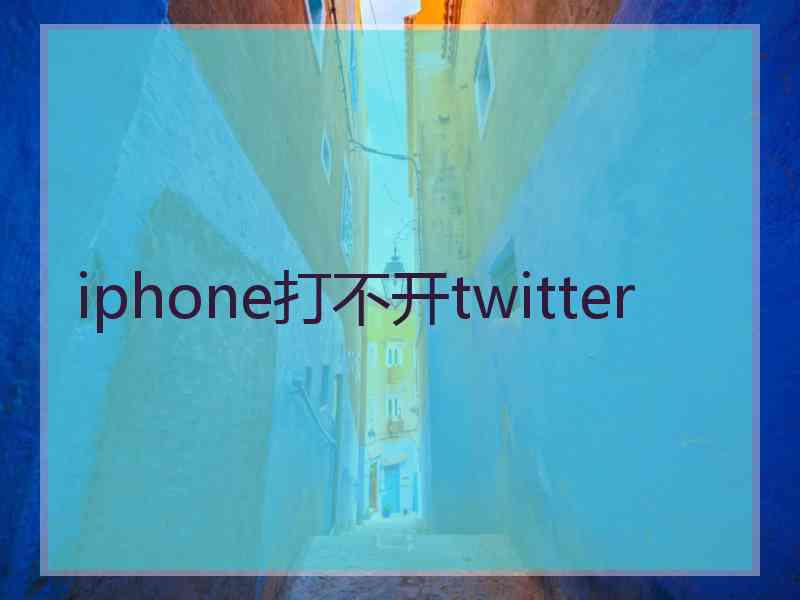 iphone打不开twitter