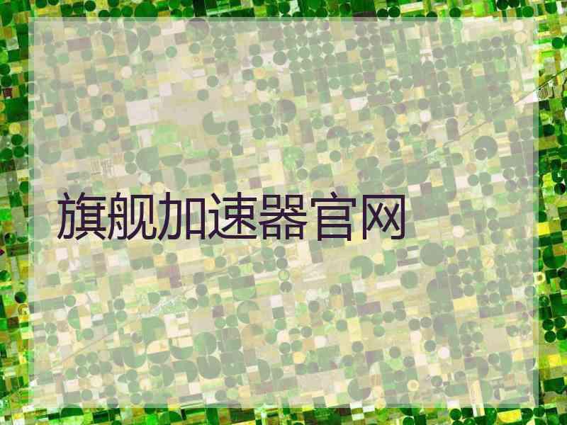 旗舰加速器官网