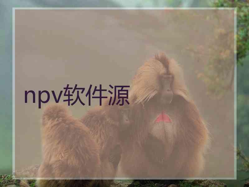 npv软件源