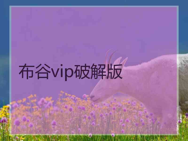 布谷vip破解版