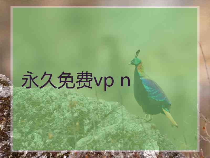 永久免费vp n