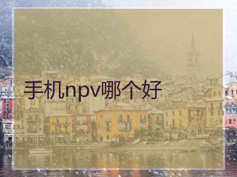 手机npv哪个好