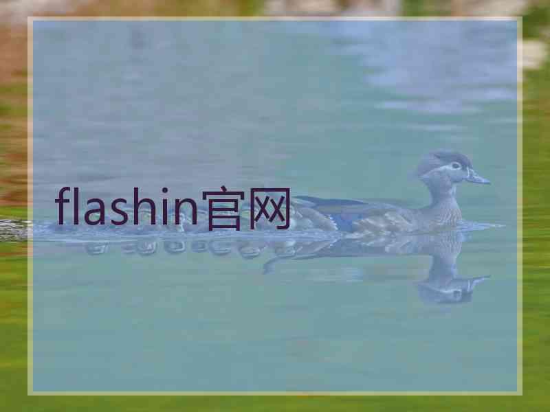 flashin官网