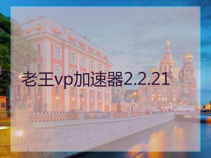 老王vp加速器2.2.21