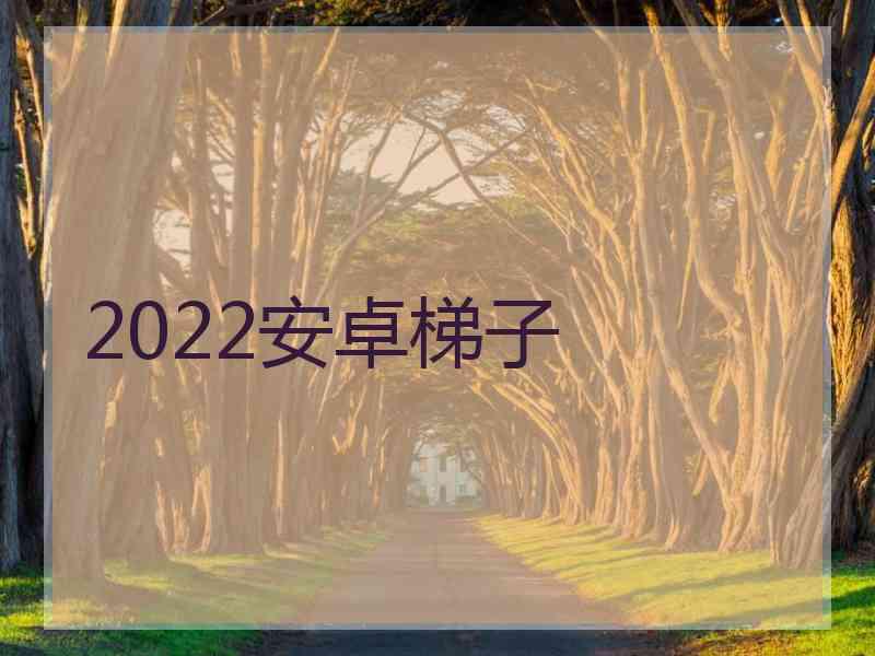 2022安卓梯子