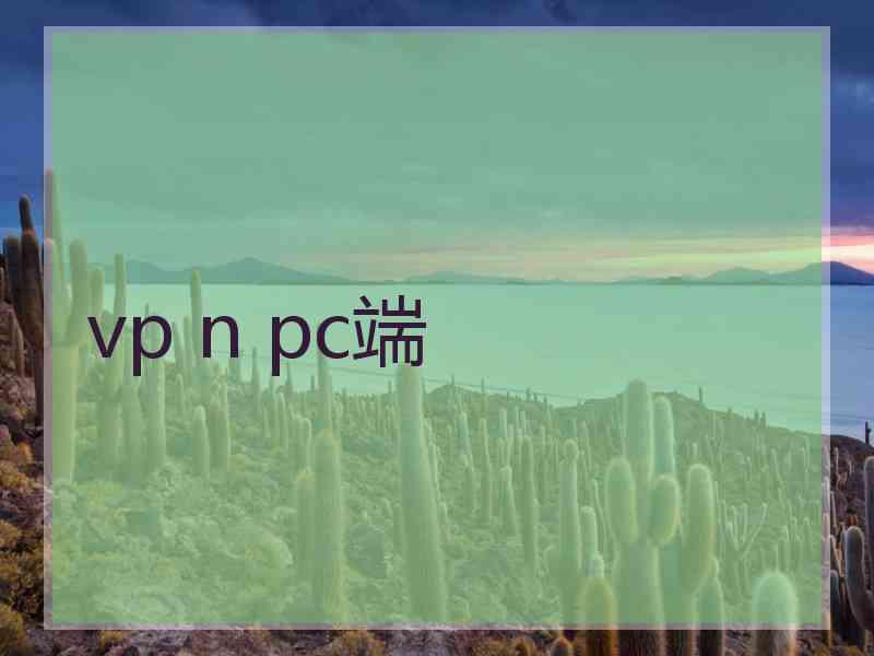 vp n pc端