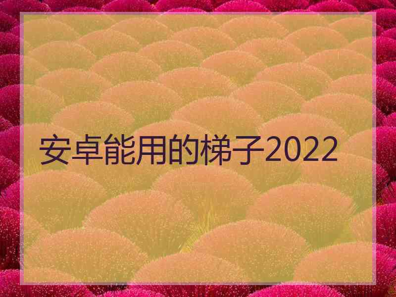 安卓能用的梯子2022