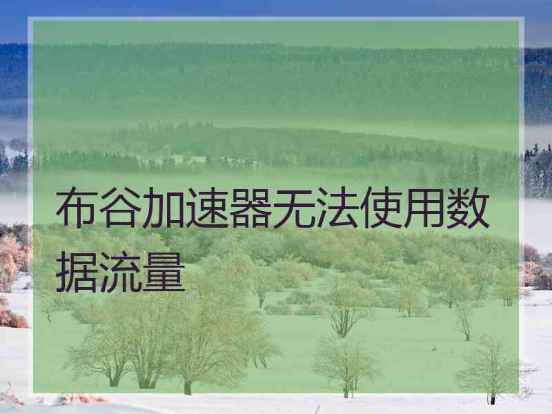 布谷加速器无法使用数据流量