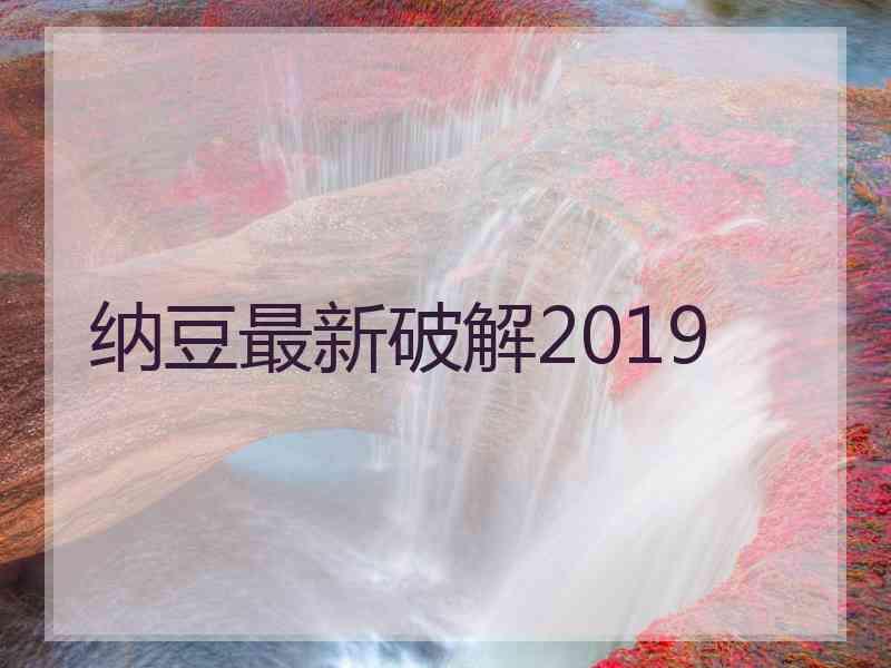 纳豆最新破解2019