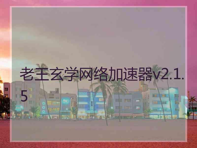 老王玄学网络加速器v2.1.5