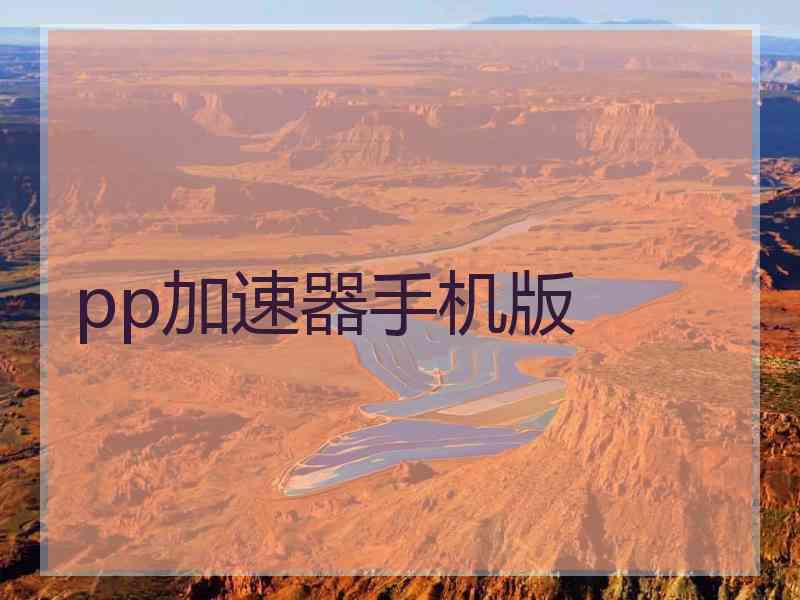 pp加速器手机版