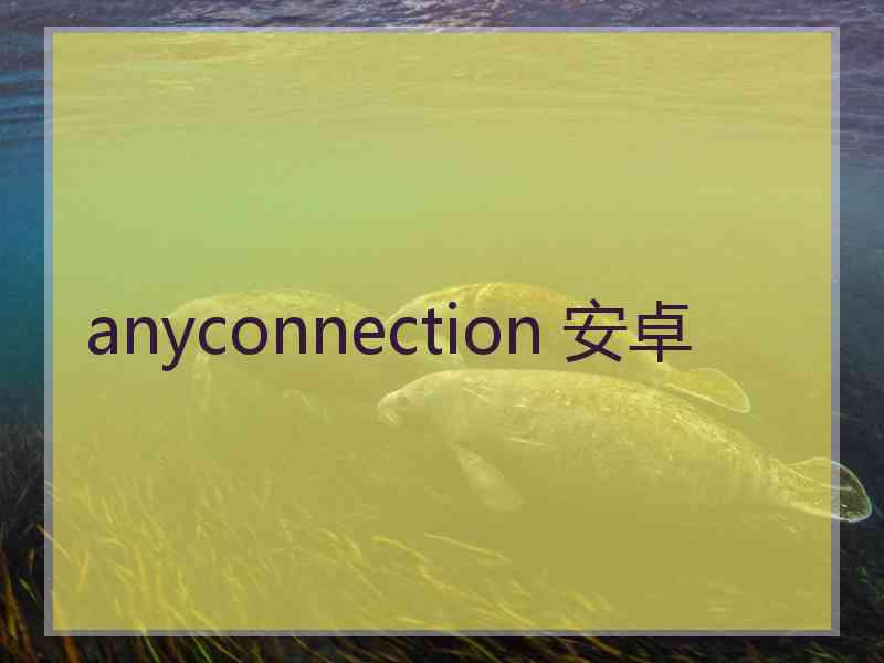 anyconnection 安卓