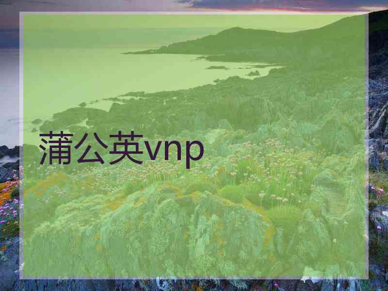 蒲公英vnp