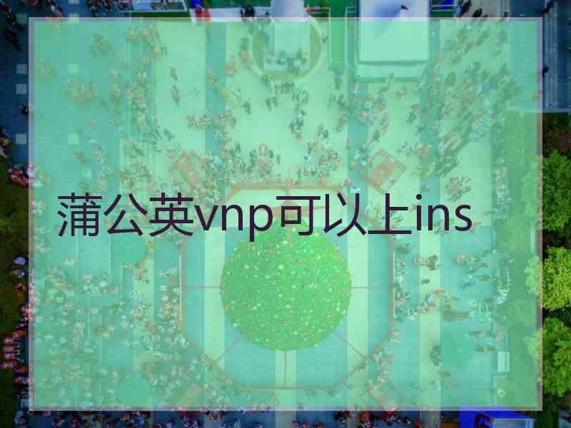 蒲公英vnp可以上ins