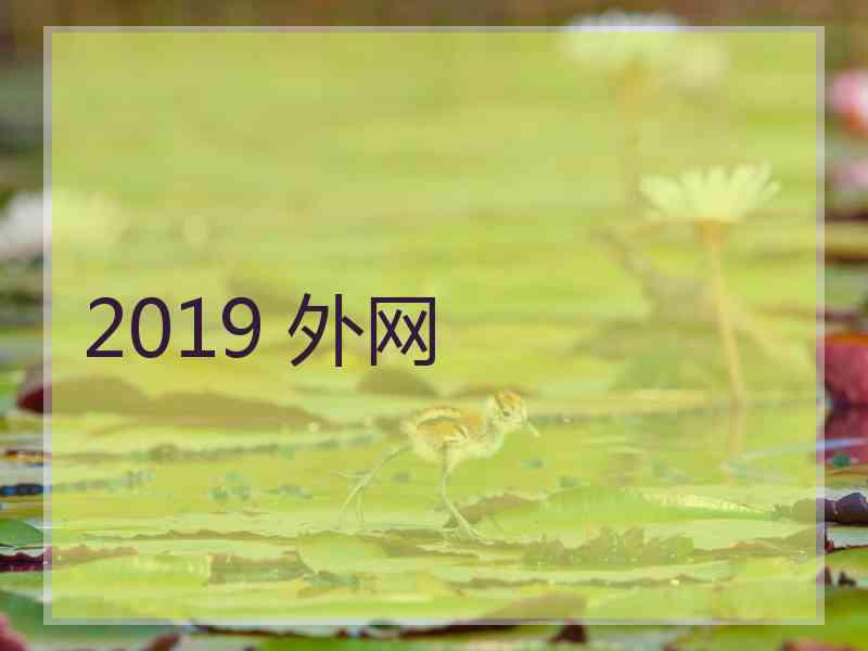 2019 外网