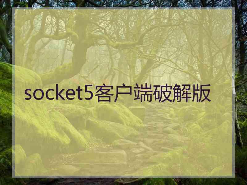 socket5客户端破解版