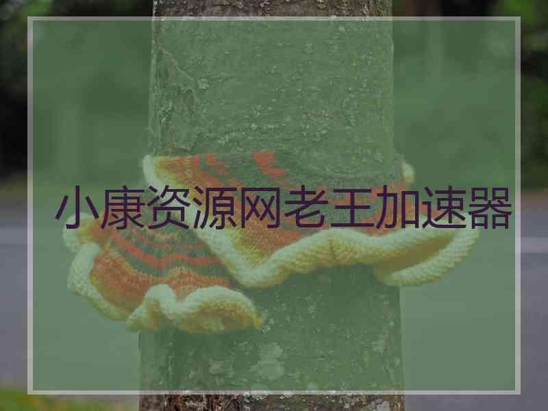 小康资源网老王加速器