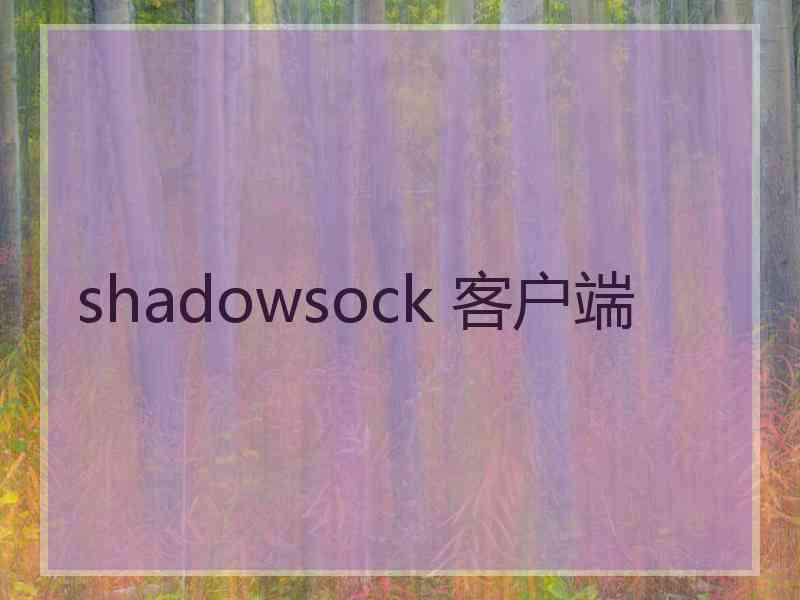 shadowsock 客户端