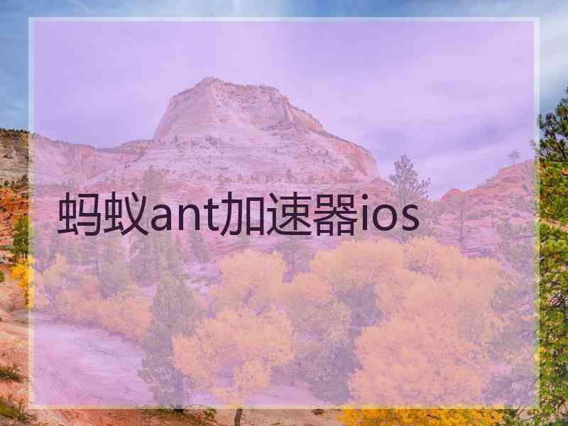 蚂蚁ant加速器ios