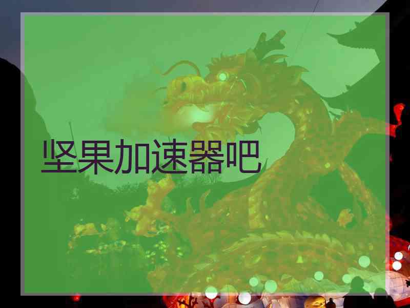 坚果加速器吧