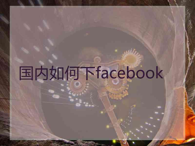 国内如何下facebook