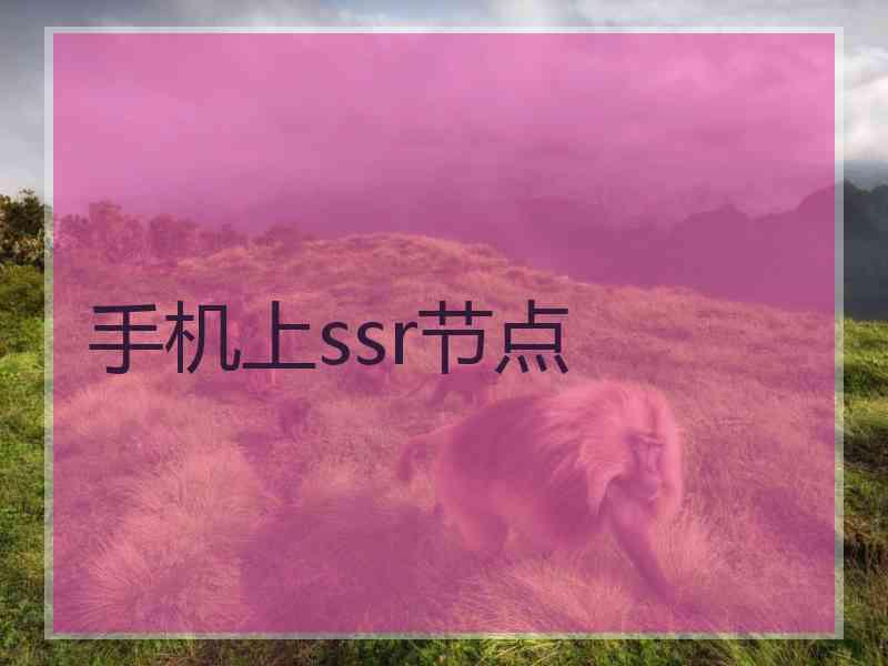 手机上ssr节点