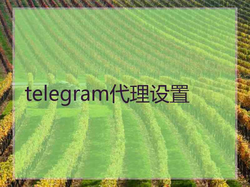 telegram代理设置