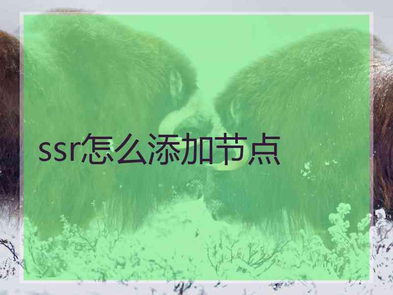 ssr怎么添加节点