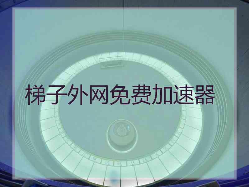 梯子外网免费加速器
