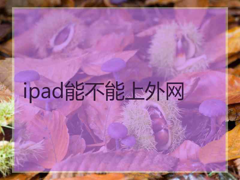 ipad能不能上外网