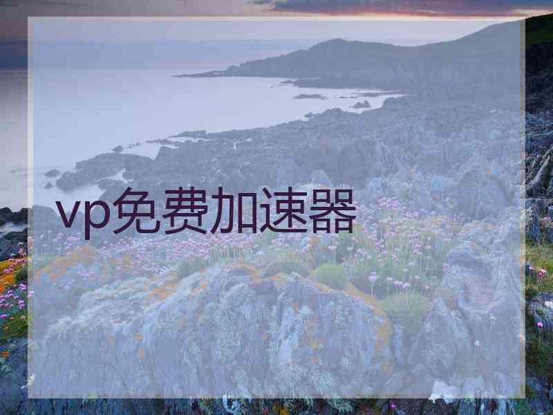 vp免费加速器