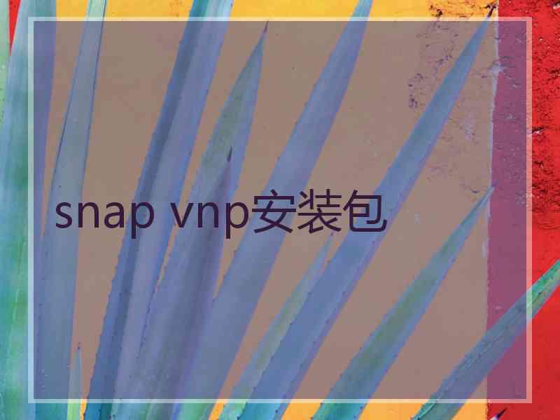 snap vnp安装包